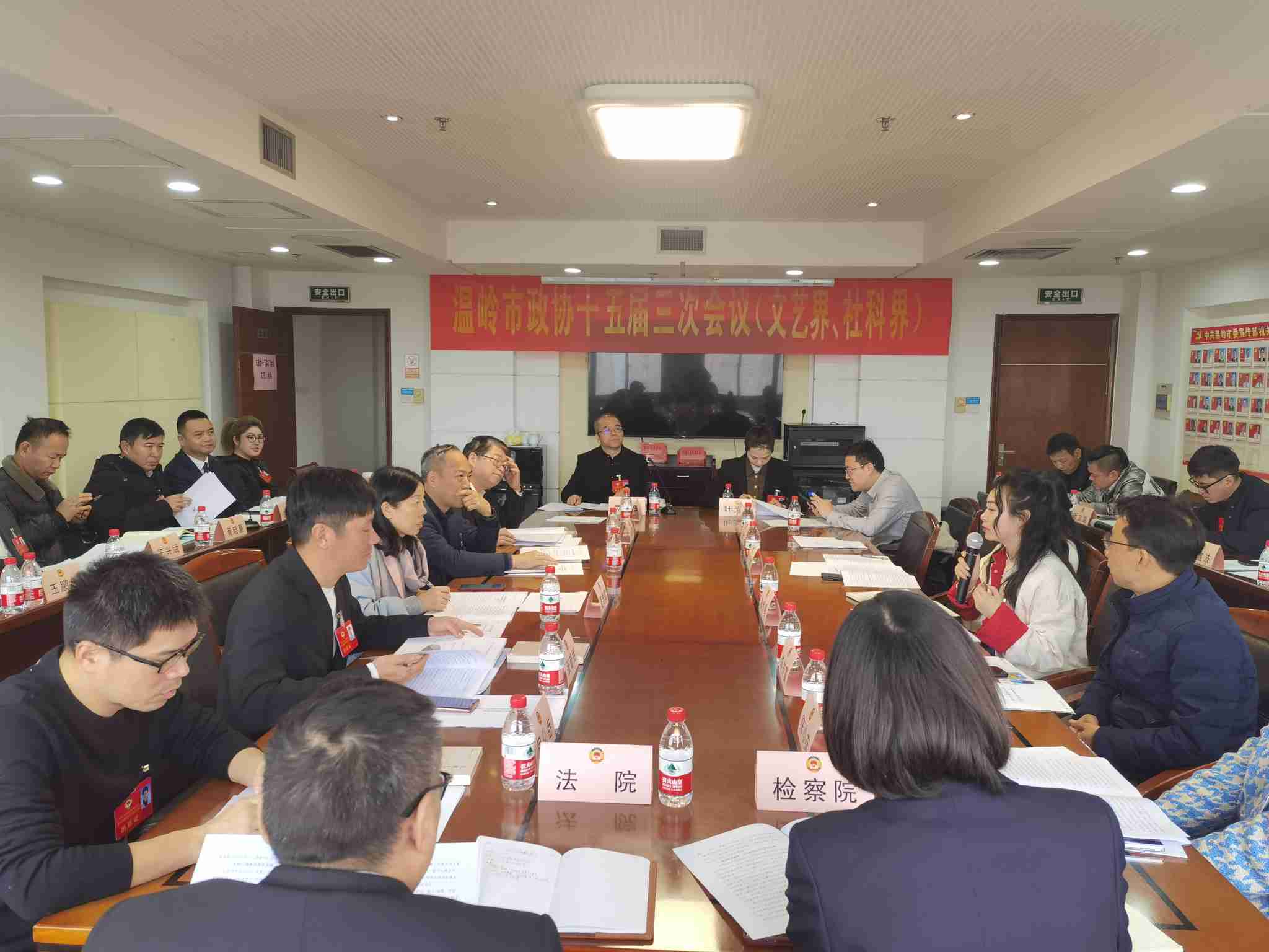 文艺界讨论两院工作报告