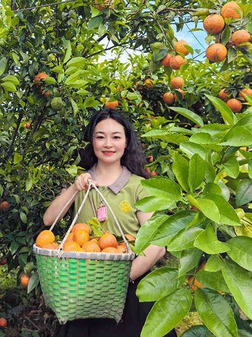 陈良春荐书