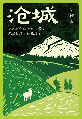 第八期：叶瑾锦委员推荐《沧城》